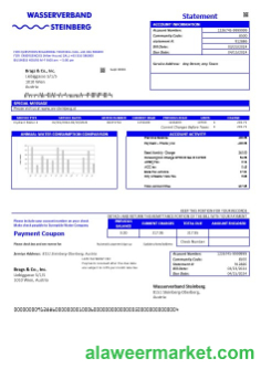 Austria Wasserverband Steinberg water business utility bill template in Word and PDF format